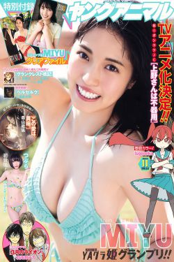 枪花电视剧