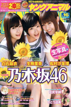 电视剧征服